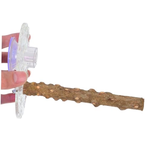 ifundom IEvbgtH[X^h IEXCO IẼANZT[ ~܂̋z X^hvbgtH[ ̓IE̗ IEX^hp[` 