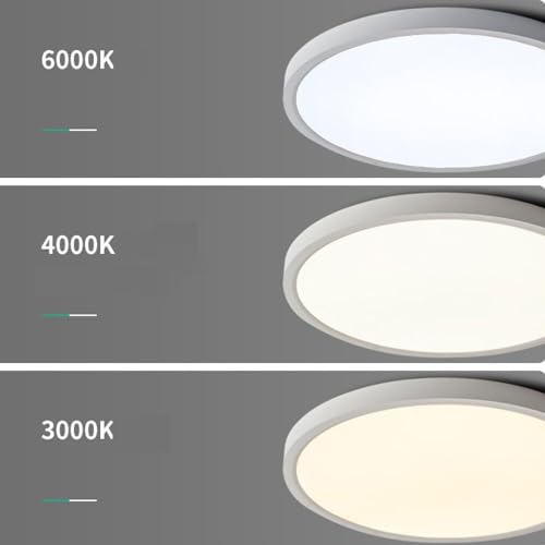 Plafonnier LED à intensité variable 30cm pour couloir et cuisine