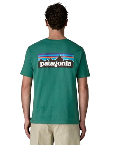 T shirt Patagonia ' P 6 Logo Homme Pierre - vue 6