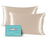 Gabire Mulberry Silk Pillow Cases Set of 2, Both Sides Real Silk Pillowcase for Hair and Skin Prevent Acne Pillowcase Organic Silk Pillowcase 2 Pack with Hidden Zipper, Champagne, Standard (20
