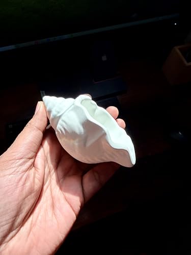 Image of TREETRUNK Handmade Minimalist Conch Shell | Jewellery /Makeup /Table Organizer l Home Decor l Candle Tray | Multipurpose (White)