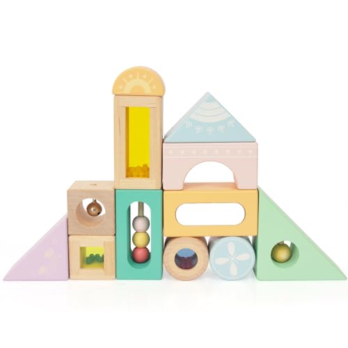 WOODENFUN 12 Stück Regenbogen Sound Komponenten Kinder Baby Stimme Block Spielzeug Set Bunte Bausteine Klangbausteine Stapelturm Montessori Spielzeug Baby ab 1 Jahr (Blau)