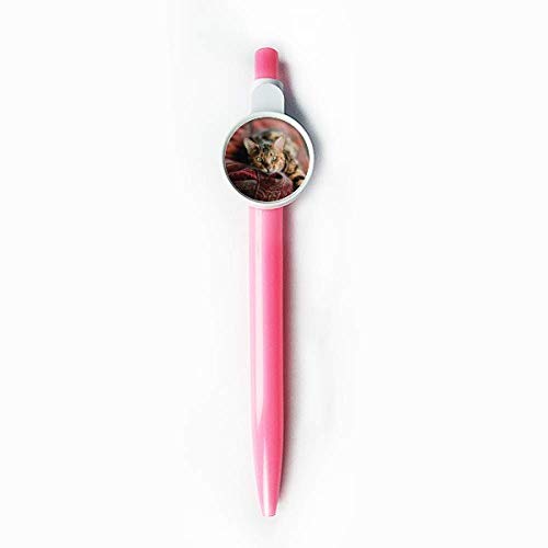 Stylo à bille rétractable chat idée cadeau pour anniversaire