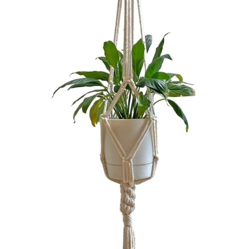 }N vgnMO A nK[}N ϗtA ݂艺 [v nMOv^[ nMO vgnK[ ݂X^h [vnMO RbgnMO MPH2C