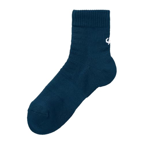 ファイテン(phiten) スポーツソックス アンクル丈 2足セット 男女兼用 足裏アーチサポート メッシュ構造で通気性確保 衝撃吸収設計 3サイズ、3カラー展開 ランニング マラソン バレーボール テニス バドミントン【日本バレーボール協会認定商品】