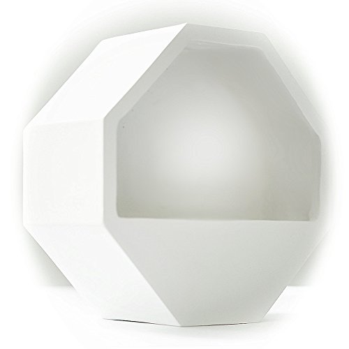 2 Planter Pots For Wall Hanging And Table Modern Design Geometric Plant Holder Vertical Garden Plant Terrarium Ideal For Succulents Tillandsia Air Plants Cactus & Artificial Plants Pots White 2 Pieces #TOP1