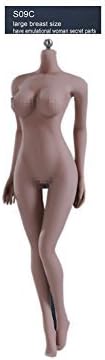Phicen 1/6 Scale Super-Flexible Female Seamless Body Series S09C
