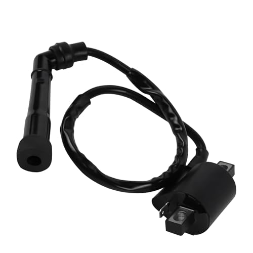 Bobina de encendido YFM 350 y 660 para repuesto de ATV Yamaha Grizzly y Raptor