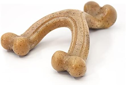 Nylabone Strong Chew Gourmet Style Wishbone Dog Chew Toy, Chicken...