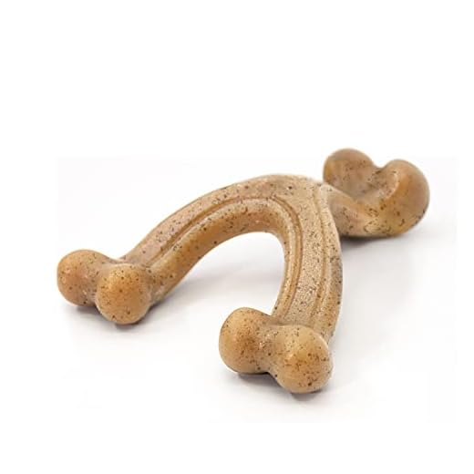 Nylabone Gourmet Style Wishbone Strong Chew Toy for Dogs, Chicken Flavor, Small - Up to 25 lbs, 1 Count