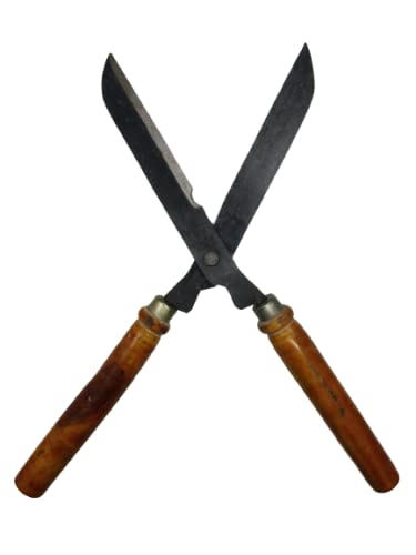 FTE Heavy Duty Garden Hedge Shear, Large Scissor with Wooden Handle for Gardening and Agriculture Purpose (Large Size 48 cm) Grass Cutter (B08DNPG4JS) Amazon Price History, Amazon Price Tracker
