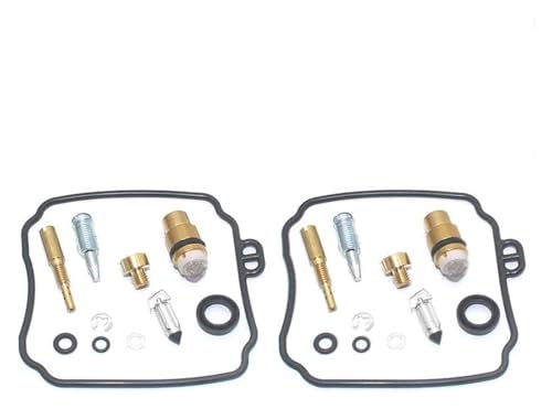Réparation carburateur XVS400C Drag Star fuite essence solution kit