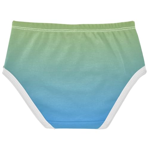 Joisal Cotton Girls Underwear Toddler Ombre Green Blue Gradient Girl Panties Cute Fun Kids Briefs Undies 2t2