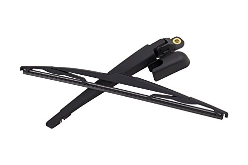 TarosTrade 244-0301-N-82505 Set Braccio e Spazzola...