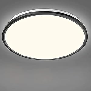 RAWNICE Bathroom Lights Ceiling,Ceiling Light,Waterproof,LED,Black 18W,26cm,4000K Nature White,IP54,Fitting Indoor Lamp…