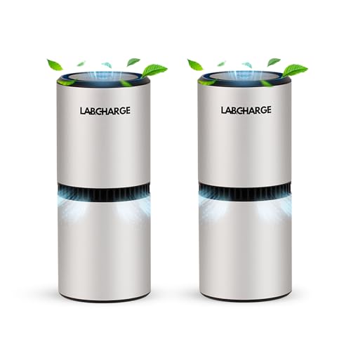 LabCharge Kleiner Ionen- Luftreiniger für Zuhause und Schlafzimmer, leiser HEPA- Filter, deckt 250 m² ab, kostenloser Reiniger für Haustiere, Haare, Rauch, Staub, Gerüche und Schuppen, kompaktes und