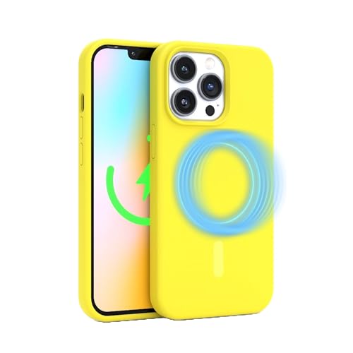 Coque de protection iPhone 15 Pro Max contre les chocs graves