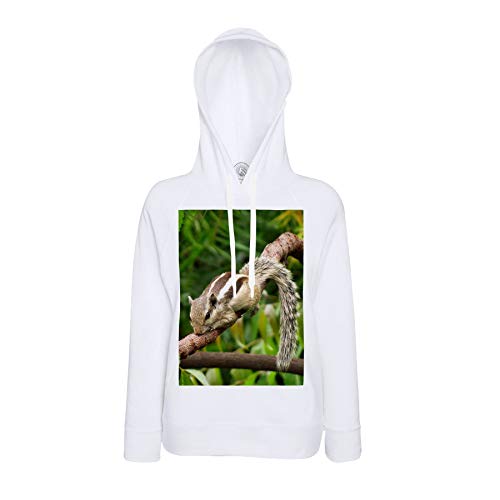 Sweat à Capuche Écureuil Chipmunk de la Forêt pour Passionnés de Vie Sauvage
