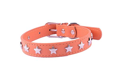 Collier en cuir orange Modèle Hollywood pour chien de 34 à 45 cm de tour de cou