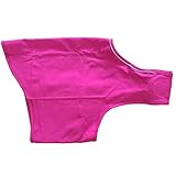 Diese Beruhigungswesten sind eine großartige Gesellschaft für Stürme, Trennung, Autofahrten und viele andere Ängste.