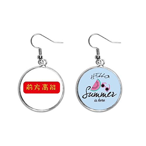 Pendientes de sandía para el lóbulo en verano joyitas de frutas