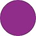 Labelmaster B3PR Blank 3" Circle Paper Label, Purple (Pack of 500)