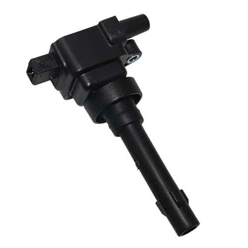 Bobines d'allumage Premium F01R00A041, qualité origine Chery A3 - 6