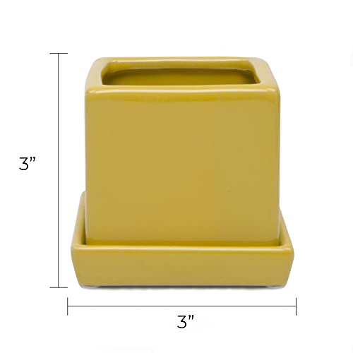 Chive - 3 Piece Set Square Succulent Cactus Planter Pot, 3 Inch Ceramic Flower Plant Container, Drainage Hole/Saucer, Mini Pot Indoor/Outdoor Garden (Goldenrod) #TOP2