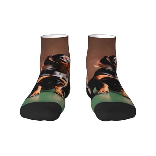 EdWal Dachshund Weiner dog print Men's Moisture Control Crew Socks Socks For Men and Women Gifts For Golf, Hunting, Camping, 2 Black-2, One Size