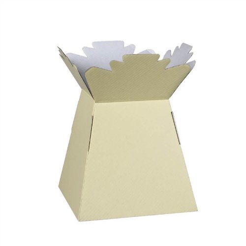 Hand-Tied Vase Florist Bouquet Boxes | Aqua Presentation & Transporter Boxes | Pack of 30 | Durable Flower & Plant Packaging | Glossy Ivory