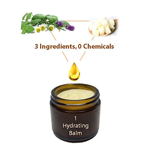 Beef Tallow All Purpose Balm – Healing, Hydrating Musk Skin Care Salve Replaces Body Lotion, Hand Cream, More – Essential Oil, Olive Oil, And Grass-Fed Tallow By Vintage Tradition, 2 Fl. Oz. #TOP7