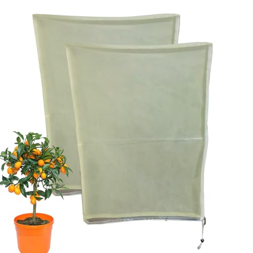 Riaisttd OpA̖hJo[ | 2_ Rt 悯,100 x 120 cm hz Ah~ -     Ő  ʕ 앨 op