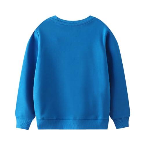 Boys Sweatshirts Long Sleeve Sweatshirts T-shirts Crew Neck Cotton Casual Sweatshirts Cartoon Tops for Boys-2042