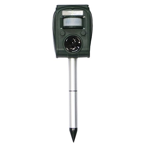 bQ΍ 悯 L悯 lR悯 \[[ Aj} ubJ[3 1 x g  zdr ̌m h h h ގ 쏜