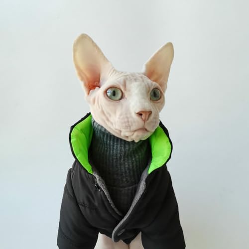 Veste sans manches pour chat Sphynx en coton noir col roulé
