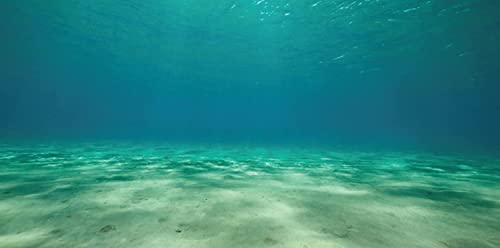 Sporn Aquarium Background, Static Cling, Ocean Floor 36" X 18" #TOP1