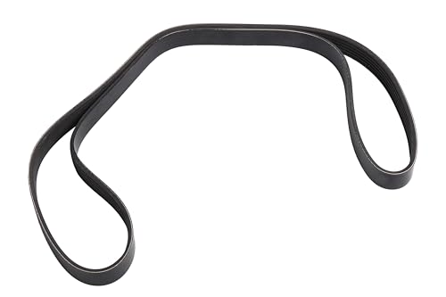 Correa coche primaria de transmisión de accesorios ACDelco GM 12688041 para motor alternador