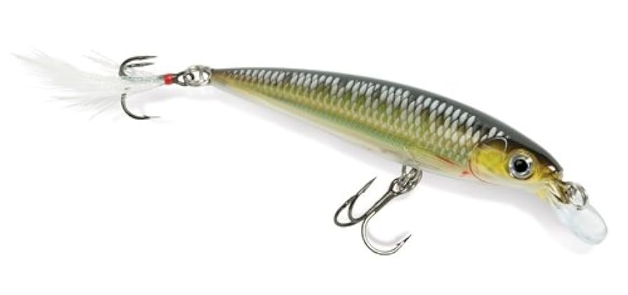 rila 0813 Rapala XR10SKL X-Rap Fishing Lure, Live Sucker, 4
