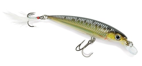 Rapala X-Rap 10 Live Sucker