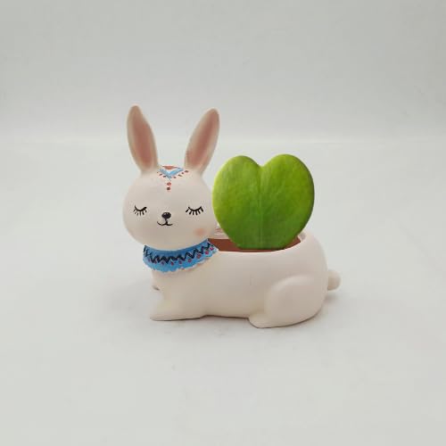 Phulwa Hoya Heart Plant with Bunny Resin Pot| Succulent Pot| Succulent| Indoor Plant| Home Garden Decoration| TableTop Plant| Love Gift| (B0CQ32BNP9) Amazon Price History, Amazon Price Tracker
