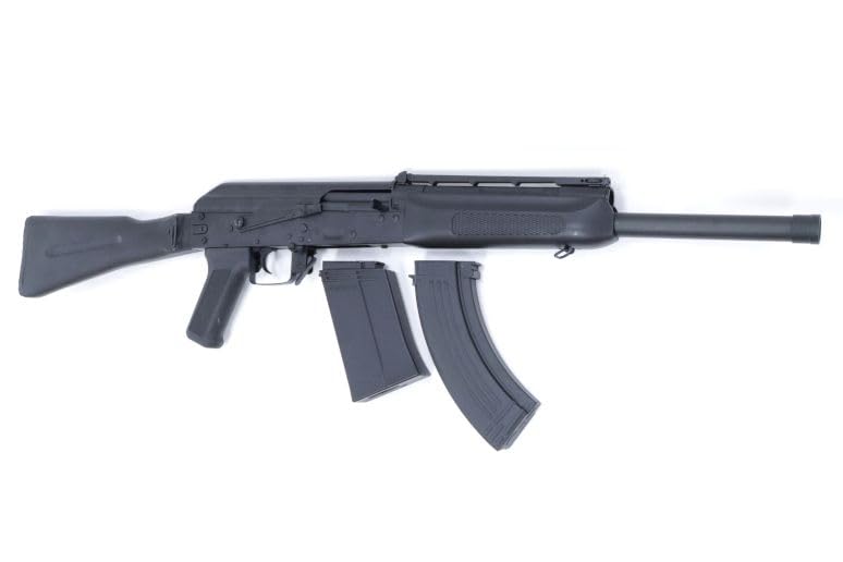 めざし　roar  オールインワン サイズ クロスガン 二丁拳銃 めざし roar オールインワン サイズ クロスガン 二丁拳銃 めざし
