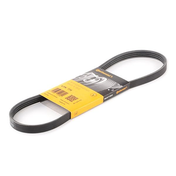 Continental Contitech 4PK775 Courroie trapézoïdale à nervures