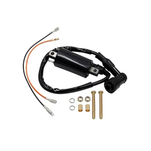 Bobine d'allumage pour KLF300 Bayou 300 compatible avec modèles ATV de 1986 à 2004