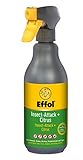 citrus mainz besitzer Biozide sicher verwenden! Vor Gebrauch stehts Kennzeichnung und Produktinfo lesen