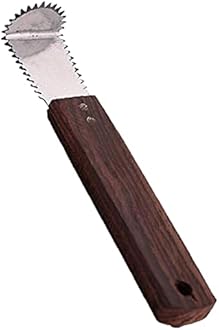 Qts Coconut Grater Steel, Scrapper Wood Hand Kitchen Tool, Silver and Brown,Silver & brown,15 cm(DD664N)