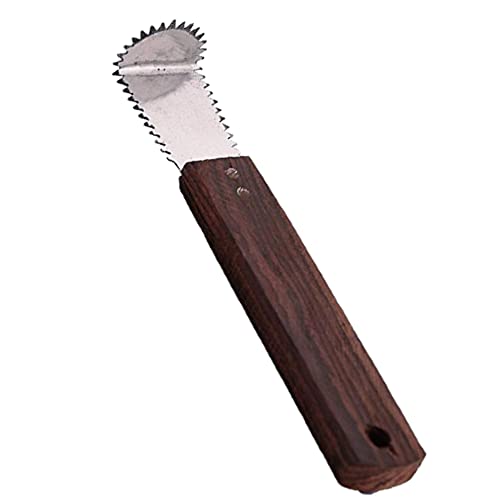 Qts Coconut Grater Steel, Scrapper Wood Hand Kitchen Tool, Silver and Brown,Silver & brown,15 cm(DD664N)