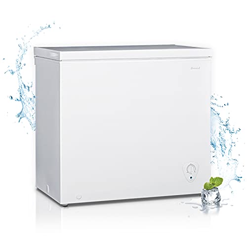 10+ Benefits of Owning a Freezer for Meat Storage