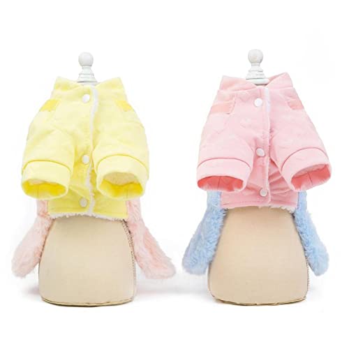 Chien vêtements d'automne et d'hiver pour balade | Pull chiot et chat mignon bleu - 5