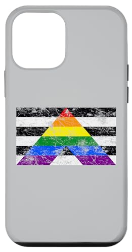 Straight Ally Pride ���B���e�[�W�t���b�O �X�}�z�P�[�X iPhone 12 mini �p