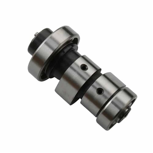 Árbol de levas para scooter soluciona pérdida potencia Leonardo 300 250 2